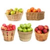 5-in-1 Apple Tree 2 5-in-1 Apple Tree -Brighter Blooms 5 in 1 Apple 600x600 edecc26b 6045 45de 8472 208403d5d74d