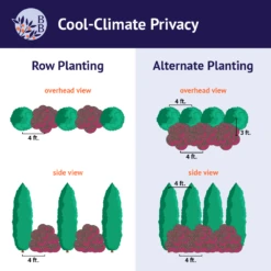 Cool-Climate Privacy Kit 11 Cool-Climate Privacy Kit -Brighter Blooms BB Cool ClimatePrivacy