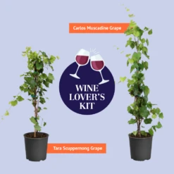 Wine Lover's Kit -Brighter Blooms BB WineLoversKitGraphic