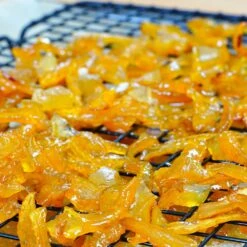 Buddha's Hand Citron Tree -Brighter Blooms BUddhas Hand Citrus 5