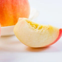 Belle Of Georgia Peach 9 Belle Of Georgia Peach -Brighter Blooms Belle of Georgia 3