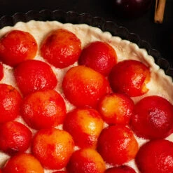 Bubblegum 'Toka' Plum Tree 11 Bubblegum 'Toka' Plum Tree -Brighter Blooms Bubblegum Toka Plum 3