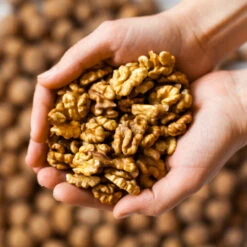 Chandler Walnut Tree -Brighter Blooms Chandler Walnut 2 BB