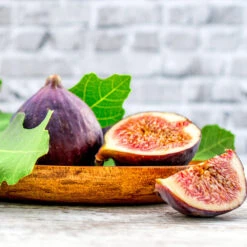 Chicago Hardy Fig Tree -Brighter Blooms Chicago Hardy Fig 4 BB