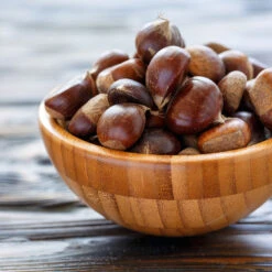 Chinese Chestnut Tree 13 Chinese Chestnut Tree -Brighter Blooms Chinese Chestnut 5 BB