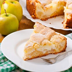 Dorsett Golden Apple Tree 9 Dorsett Golden Apple Tree -Brighter Blooms Dorsett Apple 4