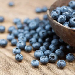 Emerald Blueberry Bush -Brighter Blooms Emerald Blueberries 1