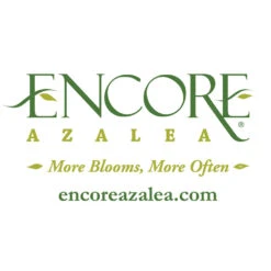 Autumn Fire® Encore® Azalea Shrub 11 Autumn Fire® Encore® Azalea Shrub -Brighter Blooms Encore Logo 1000x1000 4f4a022a 3175 461c 9bdc 6865e700f1a1