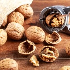 Carpathian English Walnut Tree -Brighter Blooms English Carpathian Walnut 1 BB