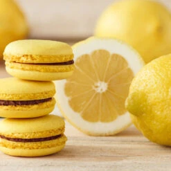 Eureka Lemon Tree 7 Eureka Lemon Tree -Brighter Blooms Eureka Lemon Tree 2 BB