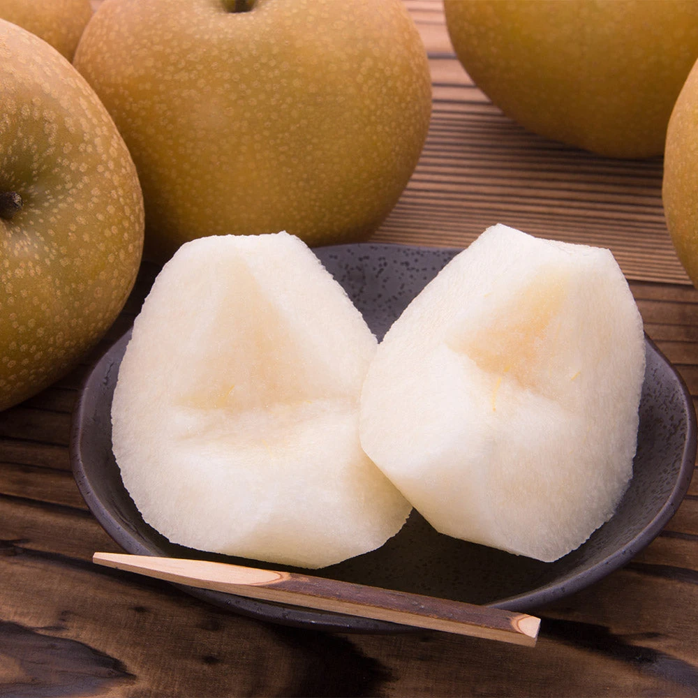 Hosui Asian Pear Tree 7 Hosui Asian Pear Tree - Image 5