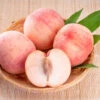 Indian Free White Peach Tree -Brighter Blooms Indian Free Peach BB 600x600 aab5f603 1c23 4340 b017 388d5fcd4c0d