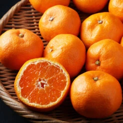 Kishu Mandarin Tree 10 Kishu Mandarin Tree -Brighter Blooms Kishu Mandarin Tree 3 BB