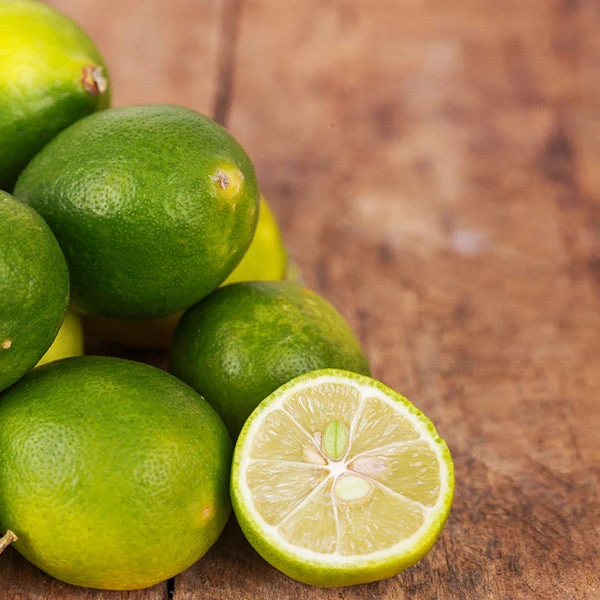 Limequat Tree 3 Limequat Tree