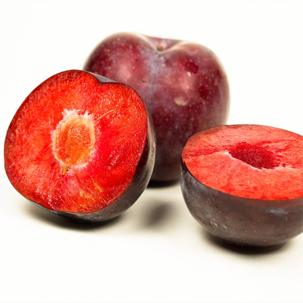 Methley Plum Tree 7 Methley Plum Tree - Image 5