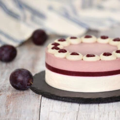 Methley Plum Tree 11 Methley Plum Tree -Brighter Blooms Methley Plum 5