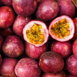 Nancy Garrison Passion Fruit Vine -Brighter Blooms Nancy Garrison Passion Fruit Vine 4 BB