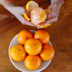 Nules Clementine Tree -Brighter Blooms Nules Clementine 4 BB