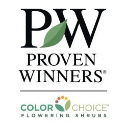 Bloomerang® Purple Reblooming Lilac Shrub 13 Bloomerang® Purple Reblooming Lilac Shrub -Brighter Blooms PW Logo CC 1000x1000 96b1db55 70f5 4f1e 9f16 326d3c05f70f