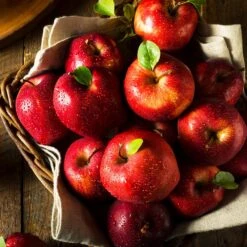 Apple Pollinator Pack -Brighter Blooms Red Delicious Apple 2