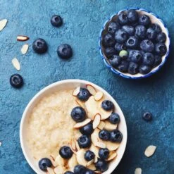 Reveille Blueberry Bush -Brighter Blooms Reville Blueberry 2