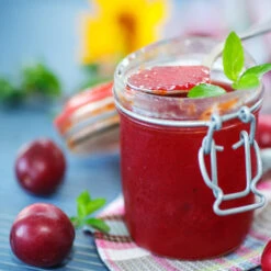 Santa Rosa Plum Tree -Brighter Blooms Santa Rosa Plum 4