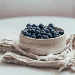 Sharpblue Blueberry Bush -Brighter Blooms Sharpblue Blueberry 1