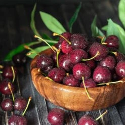 Skeena Cherry Tree -Brighter Blooms Skeena Cherry 3 BB