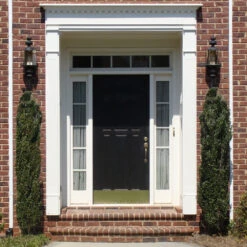 Sky Pencil Holly Tree 12 Sky Pencil Holly Tree -Brighter Blooms Sky Pencil Holly 3 BB