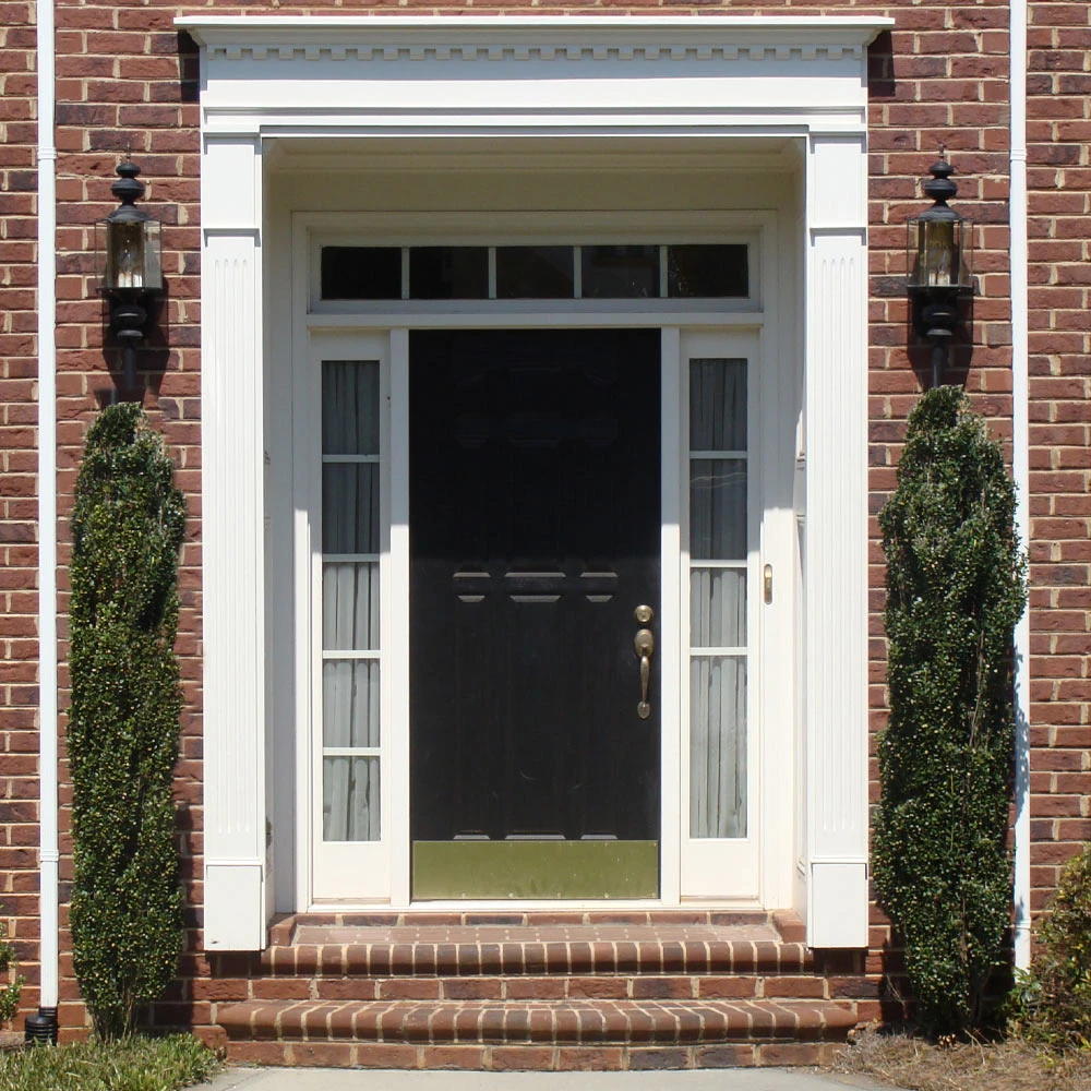 Sky Pencil Holly Tree 7 Sky Pencil Holly Tree - Image 5