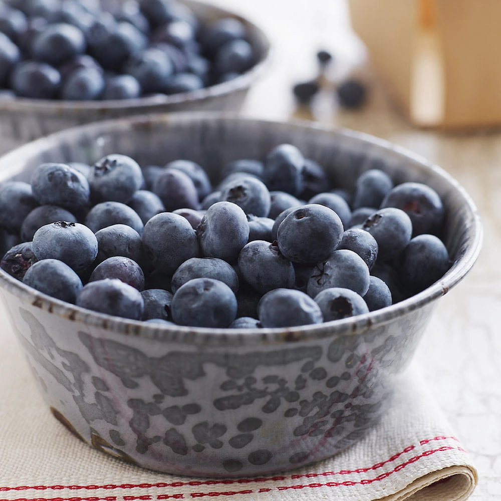 Sweetheart Blueberry Bush 5 Sweetheart Blueberry Bush - Image 3