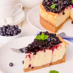 Sweetheart Blueberry Bush 13 Sweetheart Blueberry Bush -Brighter Blooms Sweetheart BLueberry 5