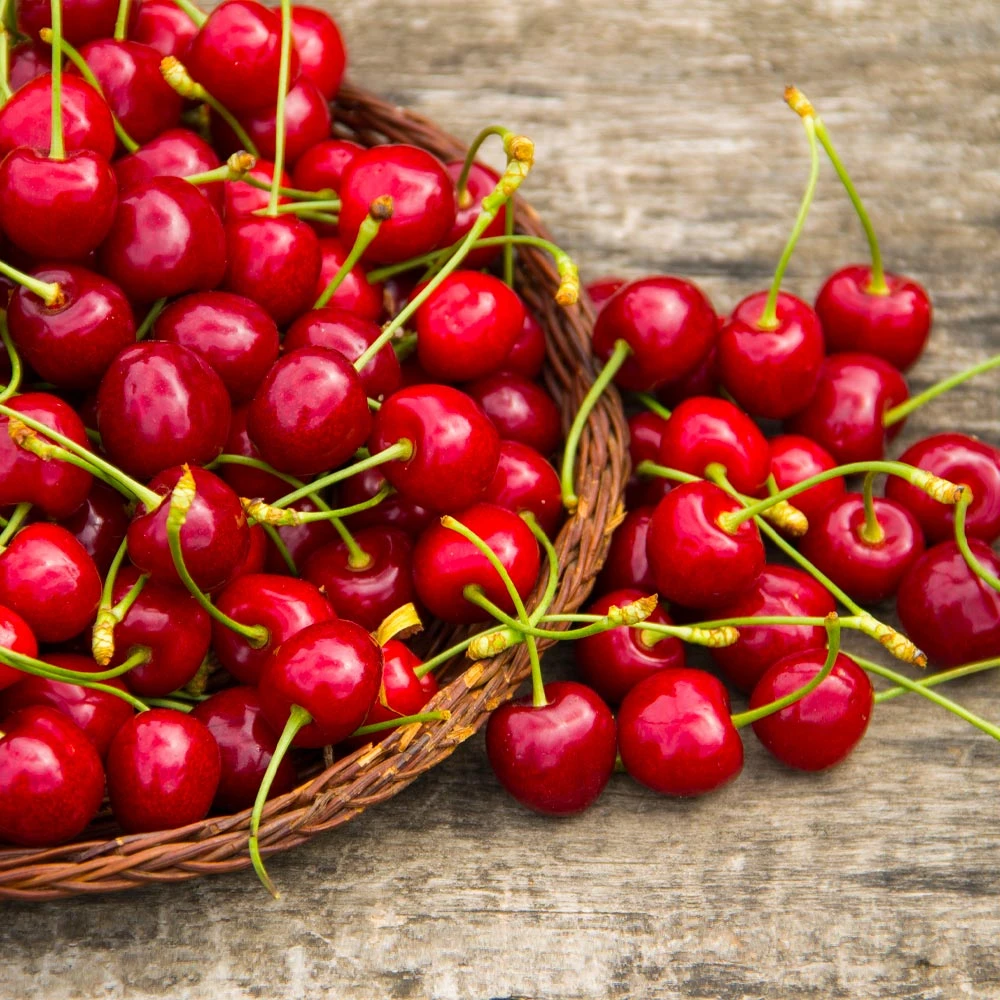 Sweetheart Cherry Tree 5 Sweetheart Cherry Tree - Image 3