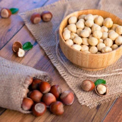 Theta Filbert Hazelnut Tree -Brighter Blooms THeta FIlbert Hazelnut 4