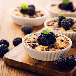 Thornless Blackberry Bush -Brighter Blooms Thornless Blackberry 2