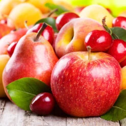 Orchard Kit -Brighter Blooms orchard kit 310024f8 9b56 436e 9e62 84dab023b0cb